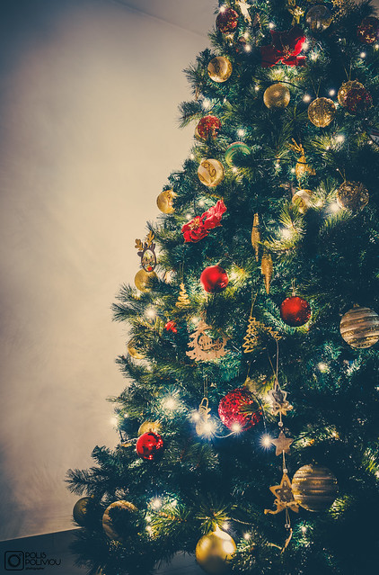 Christmas Ornaments - December 2023 (4)