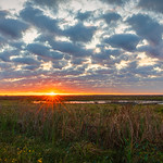 Lake Apopka Wildlife Drive Sunrise Lake Apopka Wildlife Drive Sunrise - My goal is always be at whatever park I am visiting in time to setup if there is any chance of a decent sunrise. 