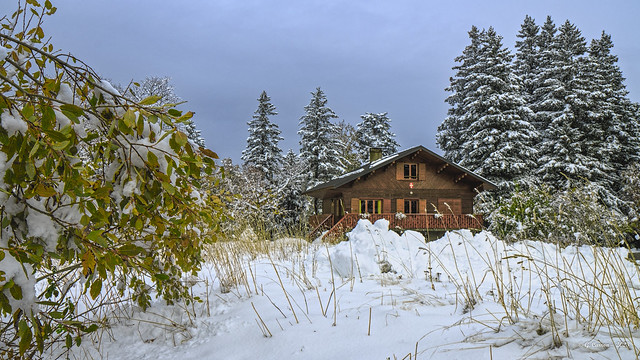 ..winter wonderland ❄️❄️🎄(Savoie 11/2023)