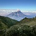 Mount Merapi and Edelweiss