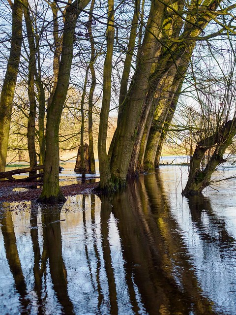 River Dommel during wintertime, overflown the banks.