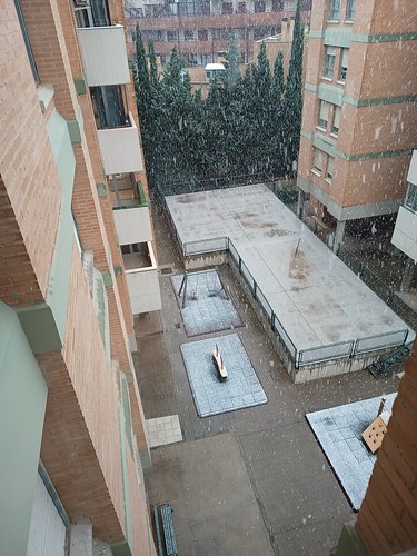 Nevando en Zaragoza