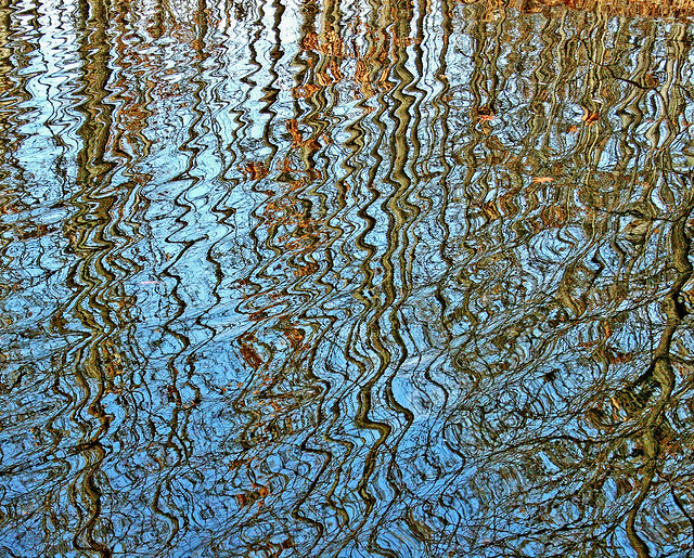 ripple reflections