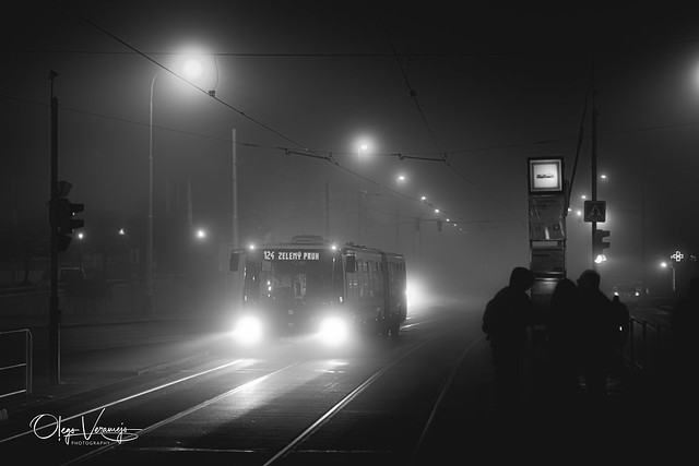 Foggy Prague (18)