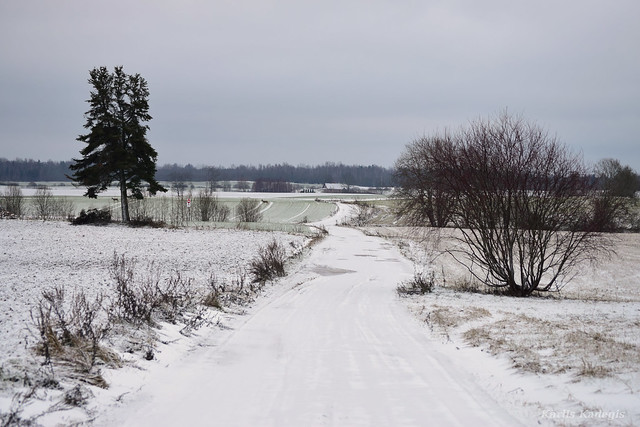 Winter in Latvia