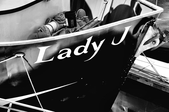 Lay Lady J