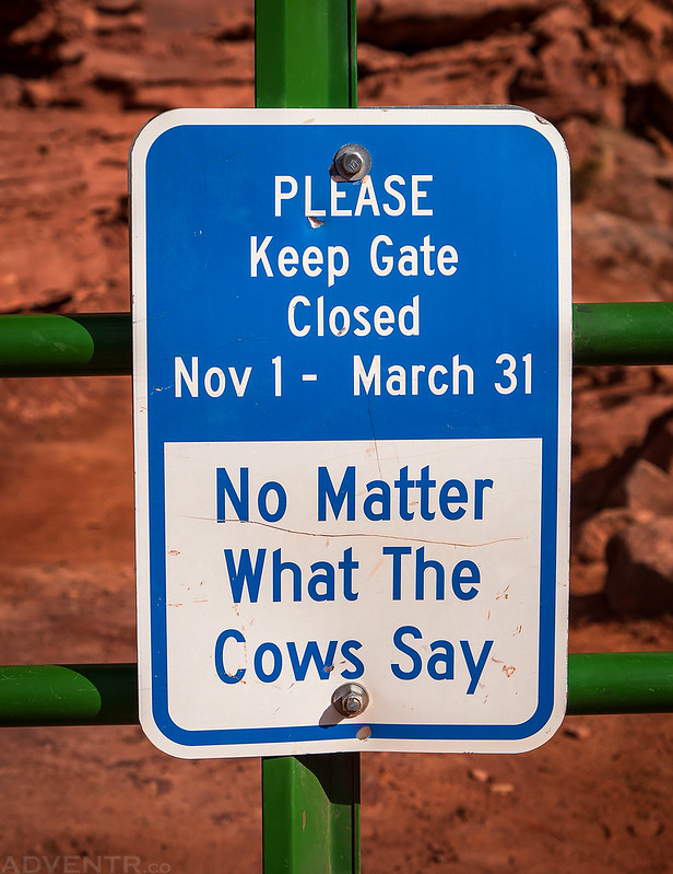 Don't Listen to the Cows