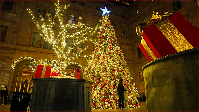 The Magic of Christmas.  NYC   Jan 1, 2024   DSC06767
