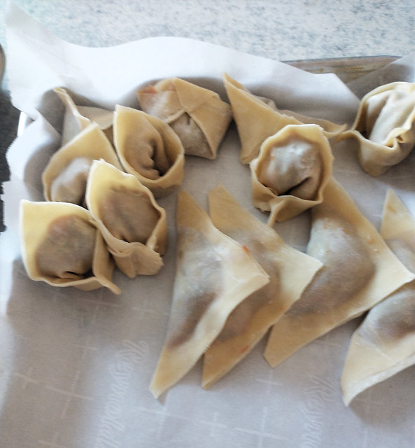 Getting Started on the Wontons