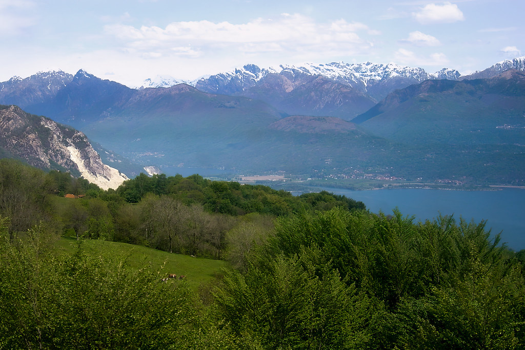 View of mountains and pasture with cows and Lake Maggiore from Monte Mottarone, Italy