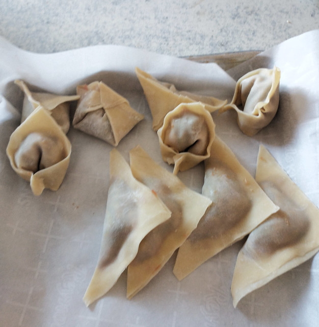 Experimenting With Different Wonton Styles