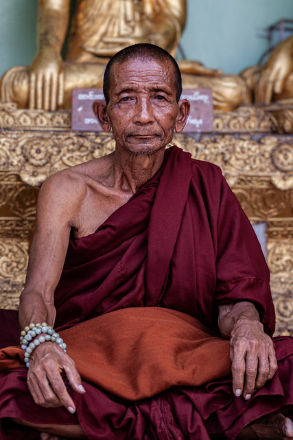 A Venerable Burmese Monk At The Shwedagon