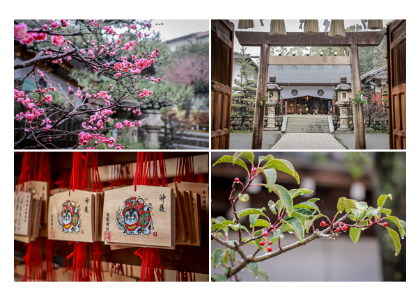 八事山塩竈神社の境内　梅の花咲く季節