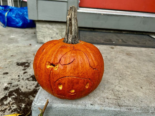 My Melo Pumpkin