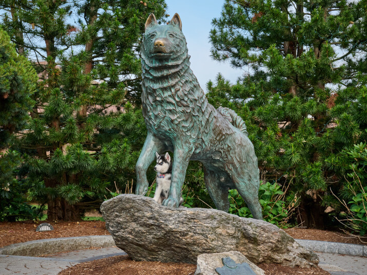 Husky Dog Statue with Jonathan XV (Peter Morenus/UConn Photo)