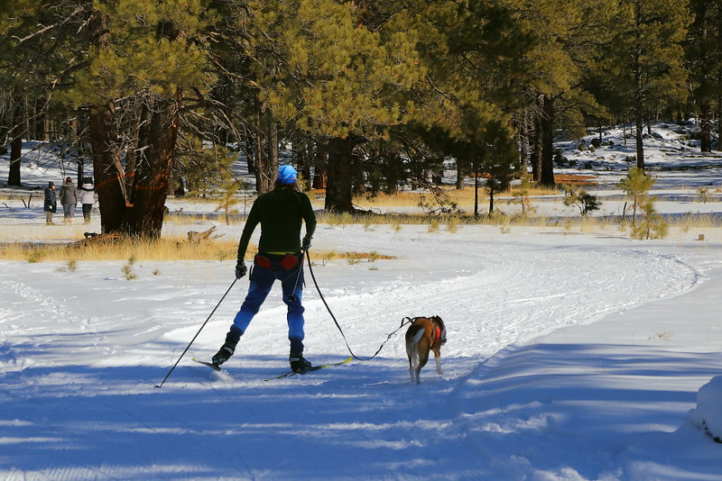 IMG_5120 Skiing with Dog, Arizona Nordic Village