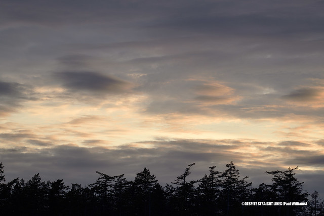 Sunset from East Saanich Indian Reserve No. 2 (Vancouver Island in BC)  -  (Published by GETTY IMAGES)
