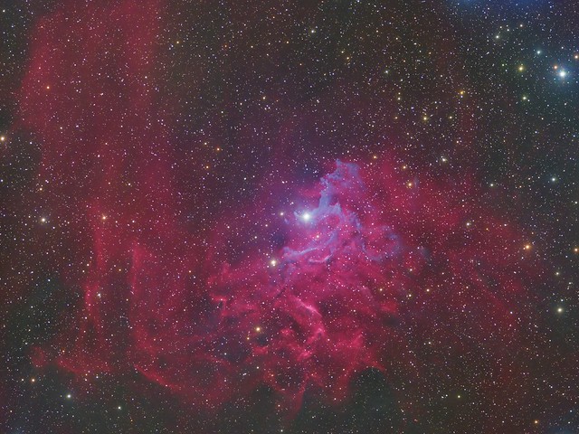 The Flaming Star nebula