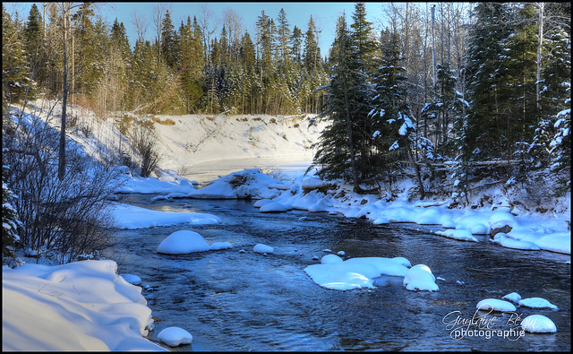 Étreinte gelée à la la Petite Rivière Bleue
