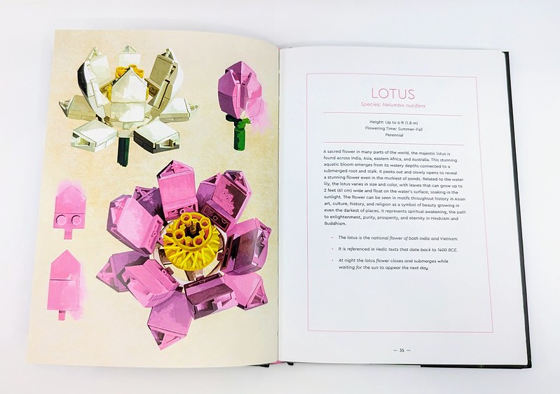 LEGO Botanical Almanac Book Review