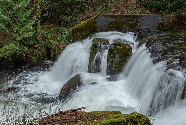 Upper Falls on Whatcom Creek