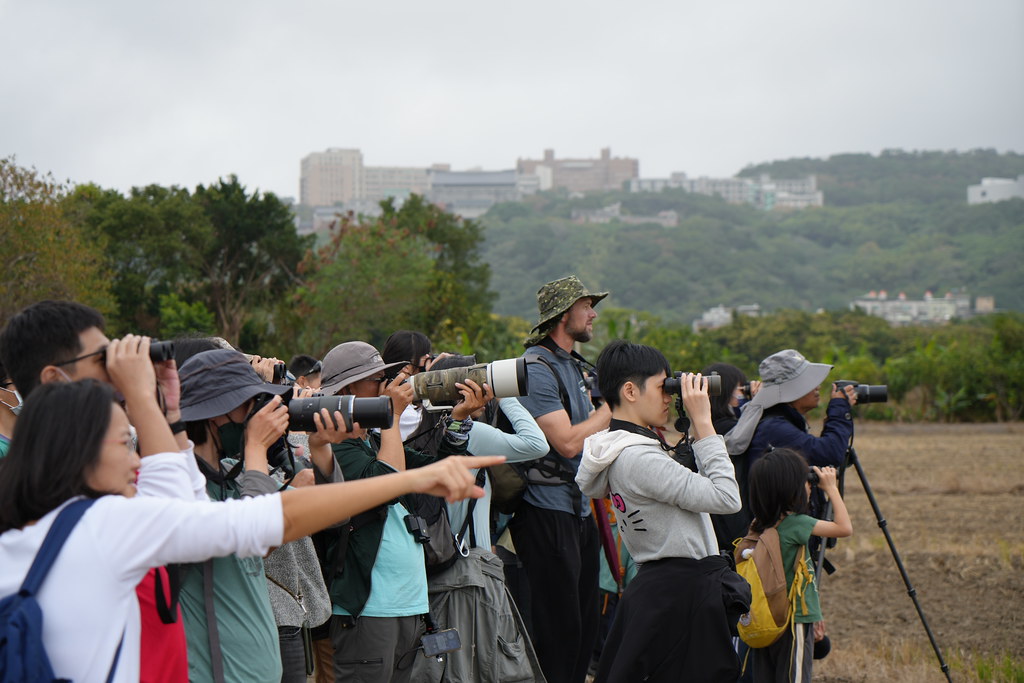 台灣猛禽研究會今年一月份的「賞鷹趣」活動，現場就觀察到十種猛禽，參與民眾深受眼前猛禽吸引。攝影：沈嘉偉
