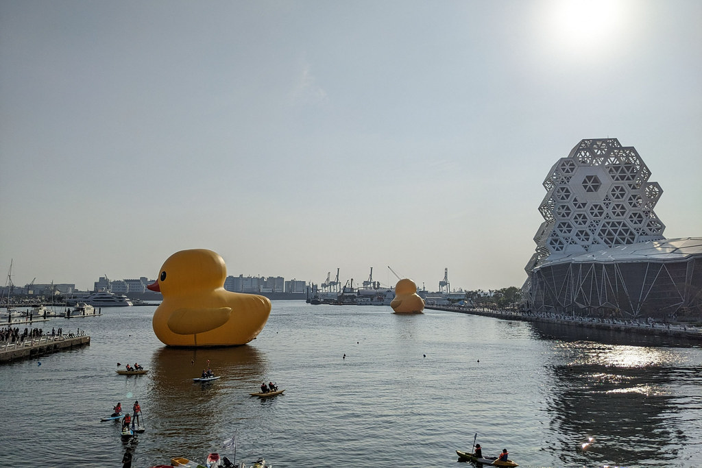 黃色小鴨十年重返高雄愛河灣，環團指出空污造成參觀民眾健康風險。攝影：李育琴