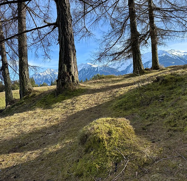 Frühling im Winter, Mieminger Plateau, Tirol, Austria