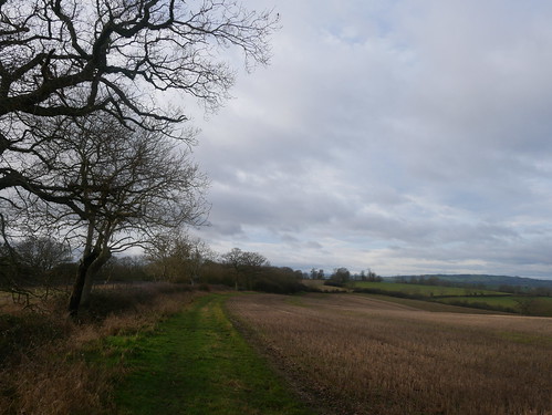 Field Edges on the Warwickshire Centenary Way