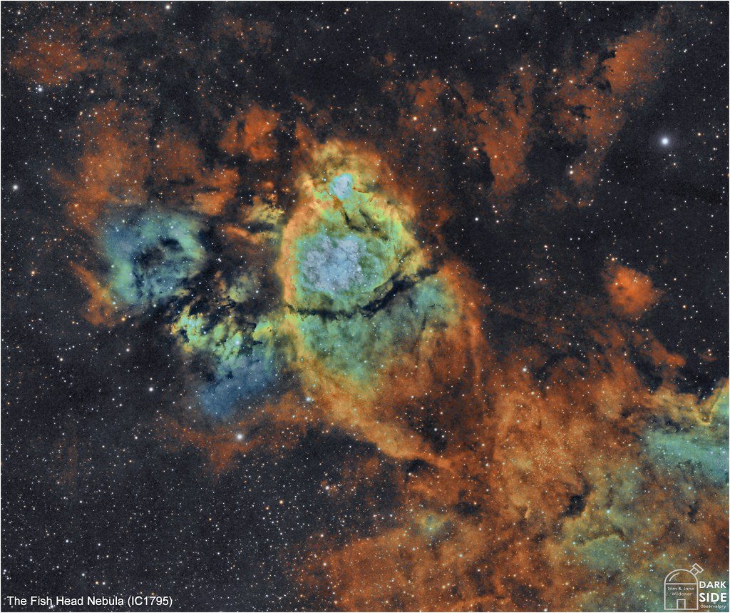 The Fish Head Nebula (IC1795) in Cassiopeia