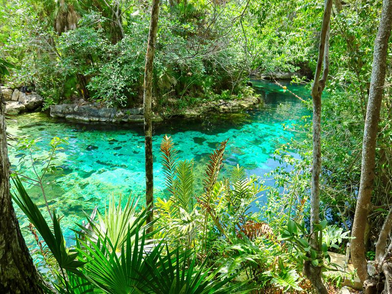 Riviera Maya cenotes - Cenote Eden