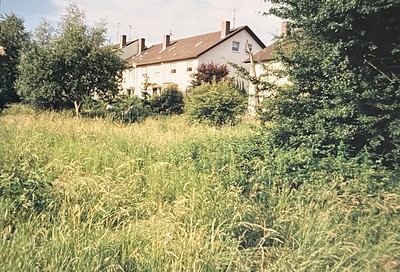 Wiese 1990 - Gundelfingen