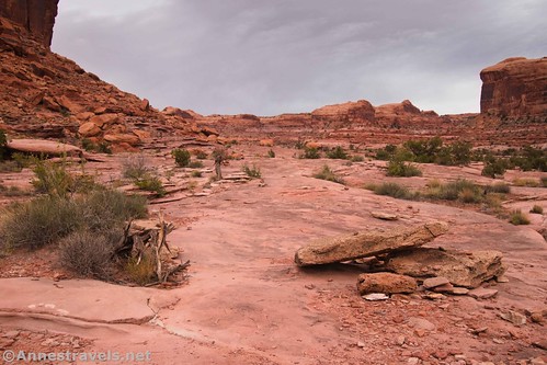 A fallen cairn or just a few rocks?  Gold Bar Arch Trail / Jeep Arch Trail, Moab, Utah