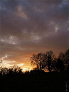 Lye Valley winter dusk /2
