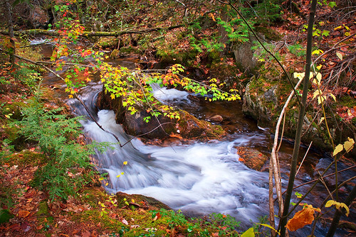 The Intimate Landscape:  Reanny Creek Falls by J Henry G, Sometimes, a small waterfall can be just as impressive as a big one.  Having fall colors in full blo