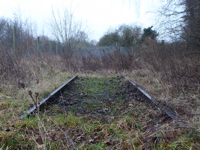 P2020948    Section of old railway track near Derby Rd, Denby   (former Ripley to Derby line)   January 2024