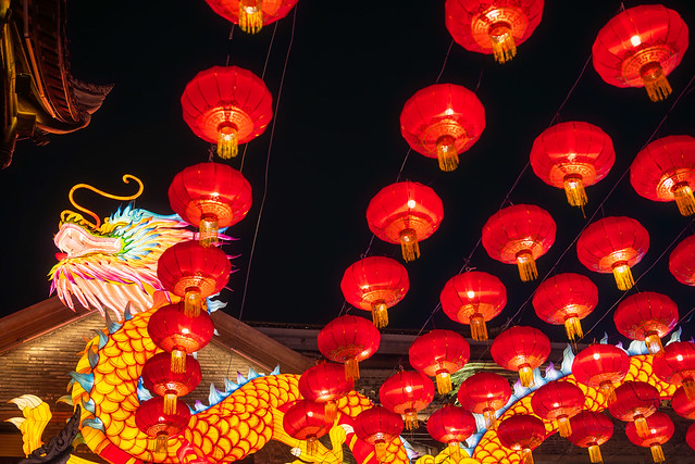 Dragon lanterns illuminated at night with red Chinese lanterns