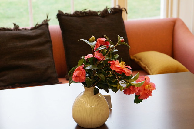 camellias in a vase...