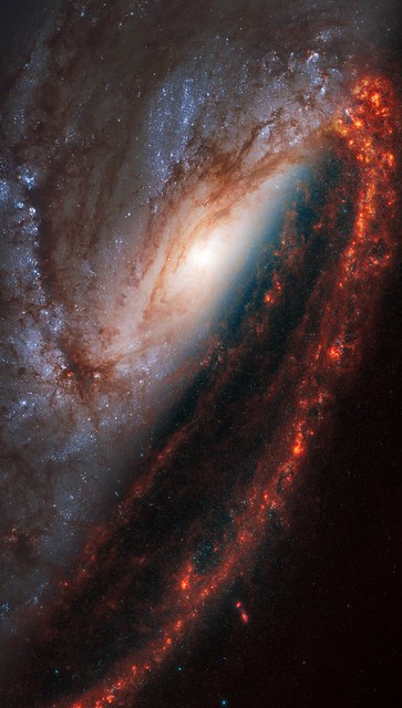 NGC 3627