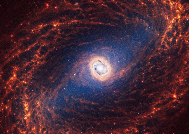NGC 1433 (Webb Image)