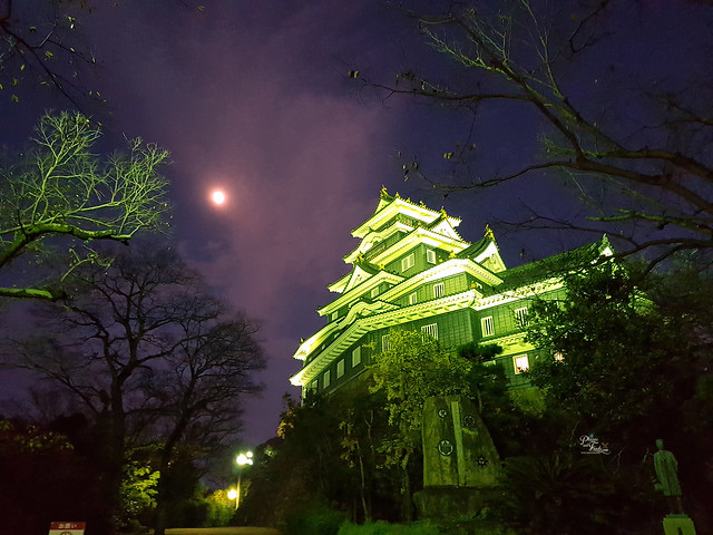 okayama castle night