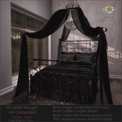 DD Danika Wrought Iron Canopy Bed-Adult AD