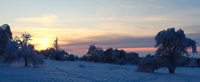 Winter in the Vogelsberg area