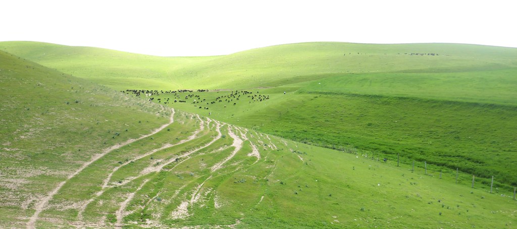 Ondulations, contreforts des Monts Zarafshan, district de Kitob, province de Kachkadaria, Ouzbékistan.