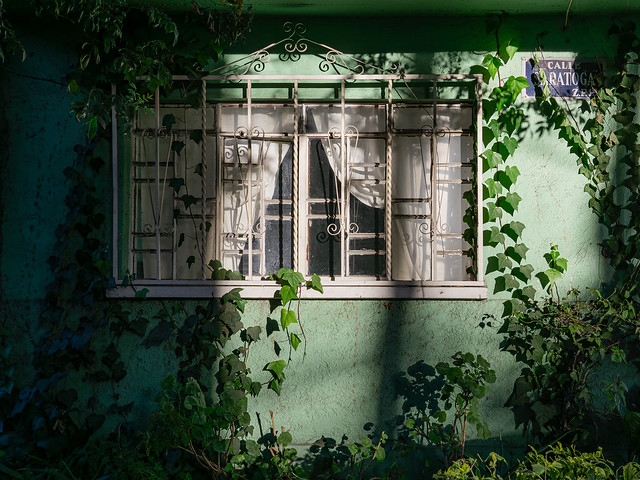 White Window and a Green Wall