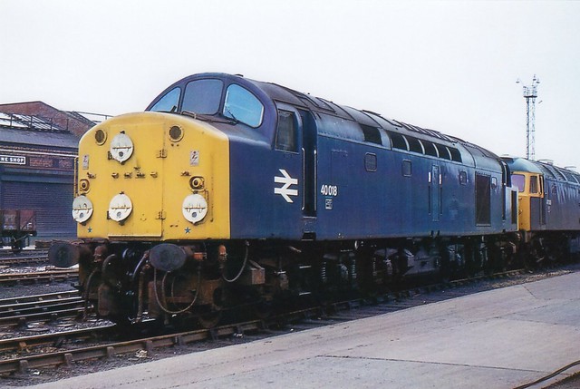 BR Class 40 40018 CARMANIA at Crewe.