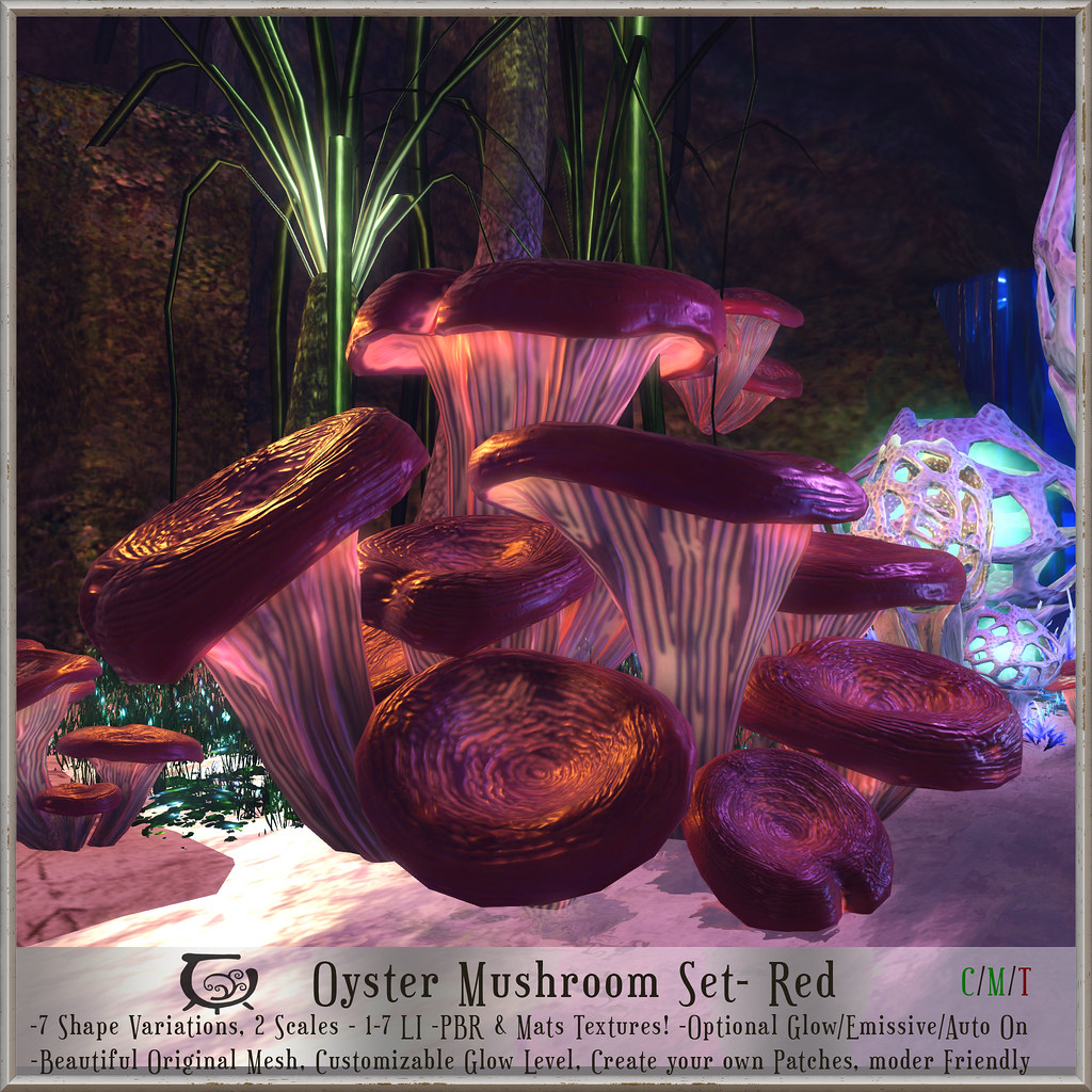 Oyster Mushroom Set Red