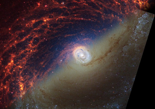 NGC 1433 (Hubble + Webb)