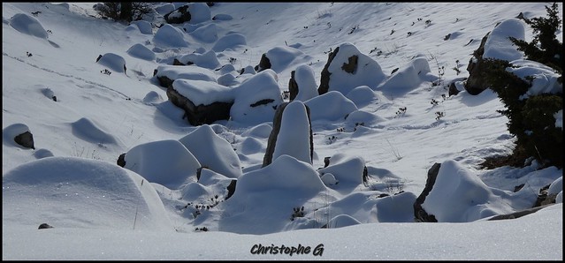 La combe enneigée...(Massif du mont Ventoux - Vaucluse - 30 novembre 2022)