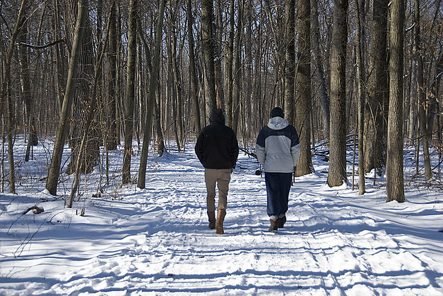 Walkers, Wright Forest Preserve, Illinois